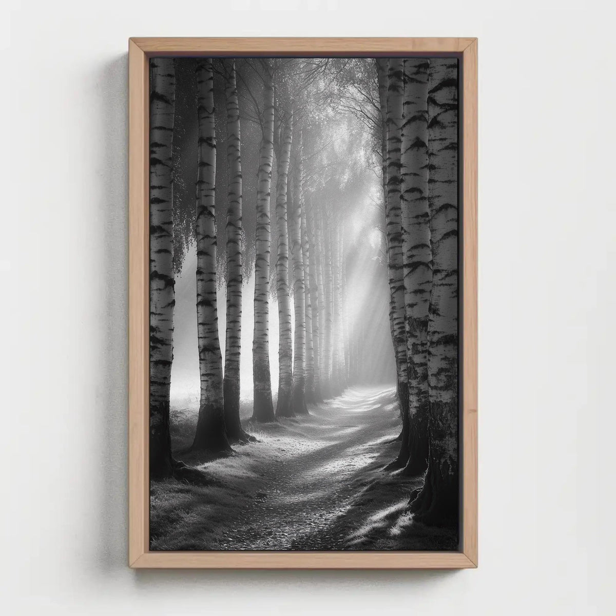 Misty birch forest path canvas wall art, black and white photograph of a forest path lined with tall trees, creating a sense