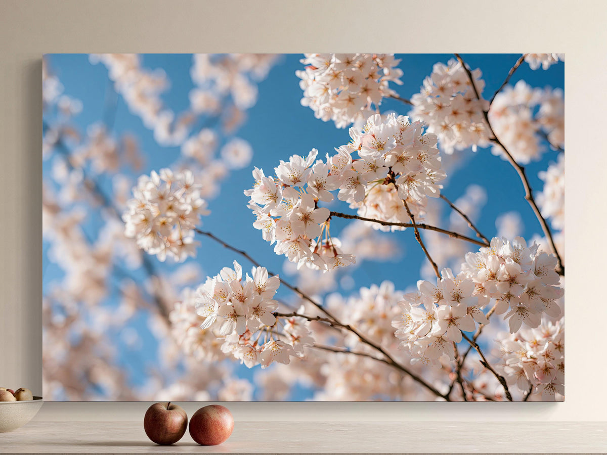 Cherry blossom branches canvas wall art, close-up view of delicate white cherry blossoms in full bloom against a bright blue