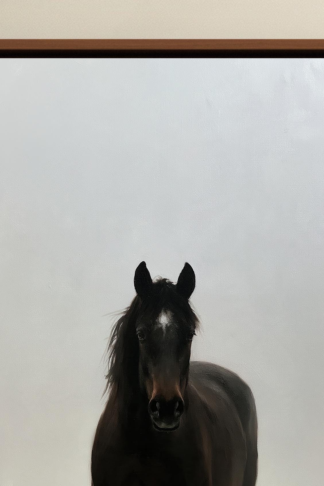 Black horse in mist canvas wall art, black horse with a white blaze stands against a plain white background