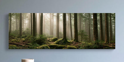 Misty mossy pine forest canvas wall art, serene forest scene with tall trees and a carpet of moss covering the ground