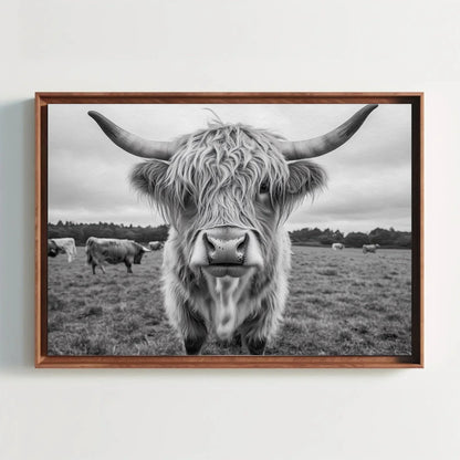 Highland cow canvas print, rustic farmhouse wall art, vintage highland cattle photography for living room or bedroom Wall Art – Canvas Print